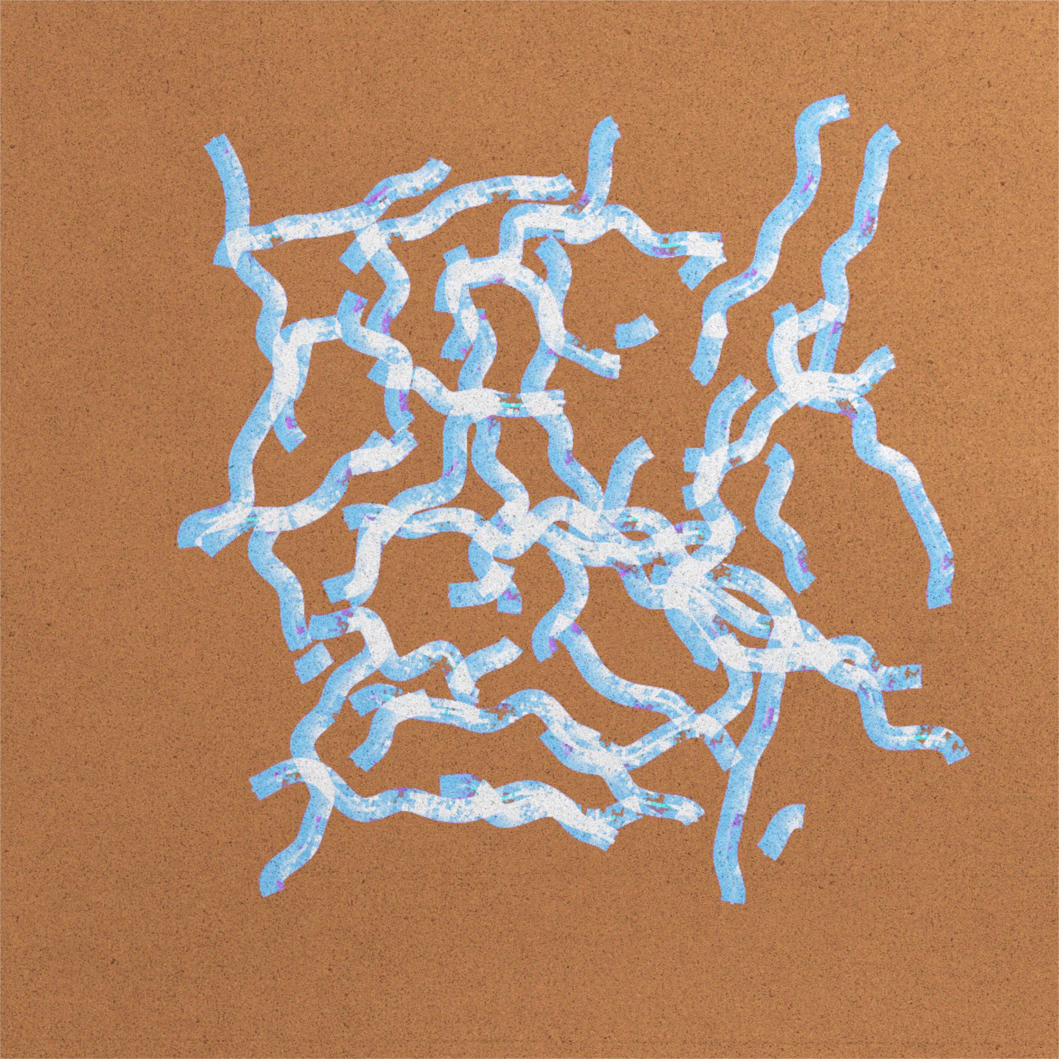 Pediococcus